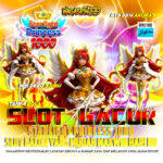 Starlight Princess 1000