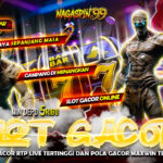 Slot Gacor RTP Live Tertinggi